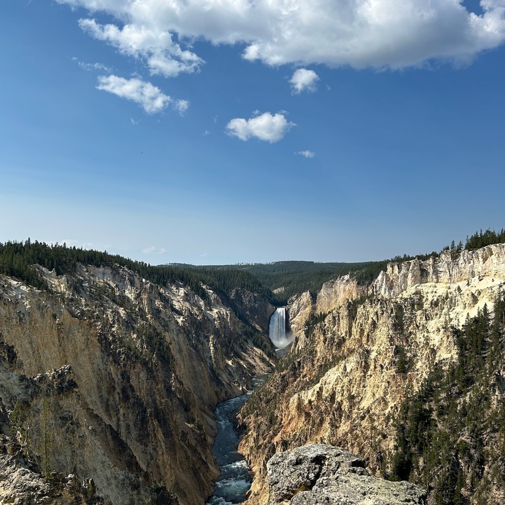 Meet your Posher, Anthony
